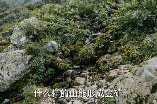 山東黃金集團(tuán)盛大鐵礦地址