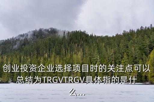 創(chuàng)業(yè)投資企業(yè)選擇項目時的關注點可以總結為TRGVTRGV具體指的是什么...