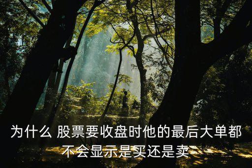 為什么 股票要收盤時(shí)他的最后大單都不會(huì)顯示是買還是賣