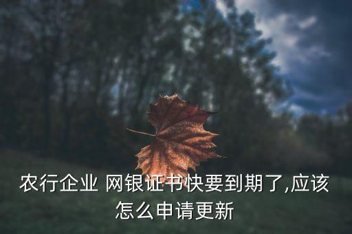 農(nóng)行企業(yè) 網(wǎng)銀證書快要到期了,應該怎么申請更新