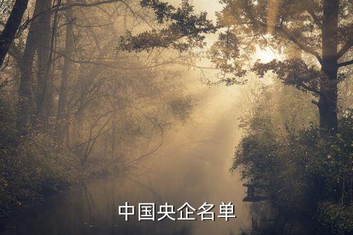 中國南動集團財務(wù)有限責(zé)任公司