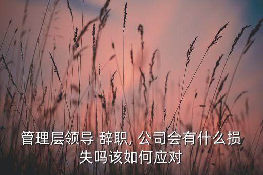 管理層領(lǐng)導(dǎo) 辭職, 公司會有什么損失嗎該如何應(yīng)對