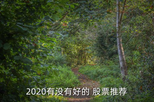 2020有沒(méi)有好的 股票推薦