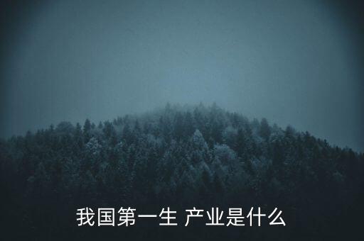 我國(guó)第一生 產(chǎn)業(yè)是什么