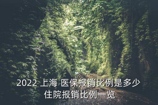 2022 上海 醫(yī)保報(bào)銷(xiāo)比例是多少 住院報(bào)銷(xiāo)比例一覽