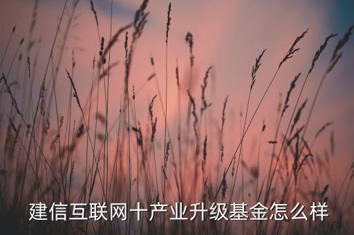  建信互聯(lián)網(wǎng)十產(chǎn)業(yè)升級(jí)基金怎么樣