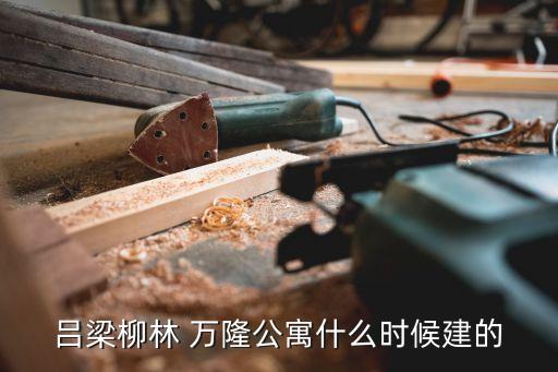 呂梁柳林 萬隆公寓什么時候建的