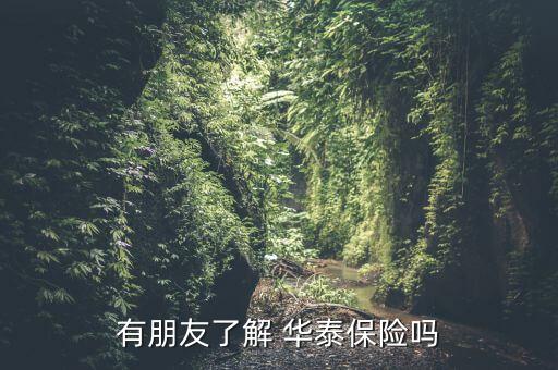 有朋友了解 華泰保險(xiǎn)嗎