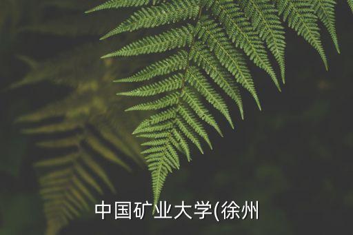 中國(guó)礦業(yè)大學(xué)(徐州