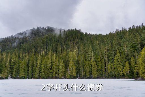 2字開(kāi)頭什么債券