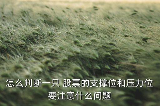 支撐點(diǎn)股票,怎么看股票有沒(méi)有支撐點(diǎn)