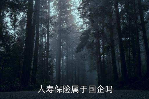  人壽保險(xiǎn)屬于國企嗎