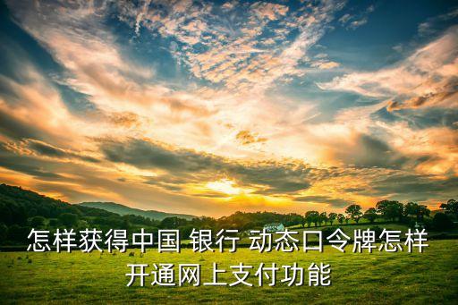 怎樣獲得中國 銀行 動(dòng)態(tài)口令牌怎樣開通網(wǎng)上支付功能