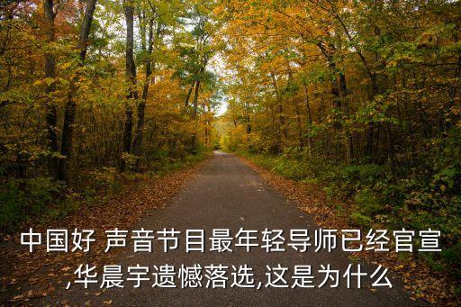 中國好 聲音節(jié)目最年輕導師已經官宣,華晨宇遺憾落選,這是為什么