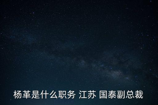 楊革是什么職務(wù) 江蘇 國泰副總裁