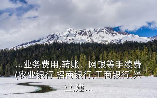 ...業(yè)務(wù)費(fèi)用,轉(zhuǎn)賬、網(wǎng)銀等手續(xù)費(fèi)(農(nóng)業(yè)銀行 招商銀行,工商銀行,興業(yè),建...