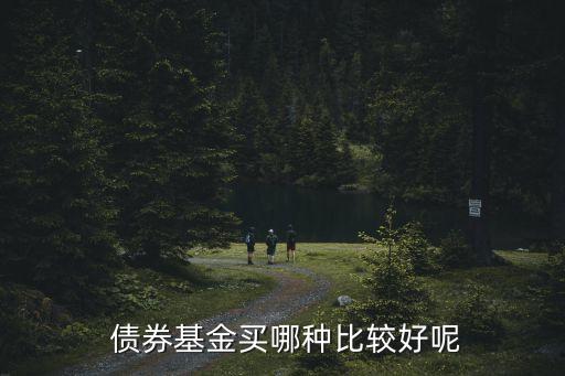  債券基金買(mǎi)哪種比較好呢