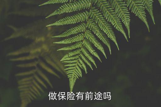 做保險(xiǎn)有前途嗎