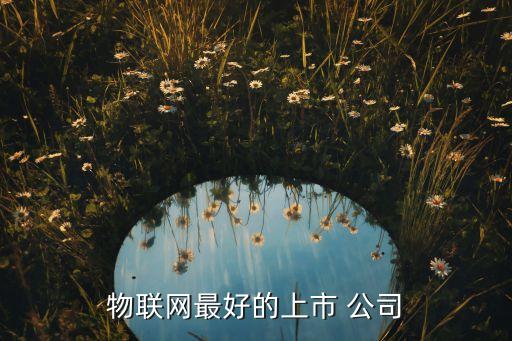 物聯(lián)網(wǎng)最好的上市 公司