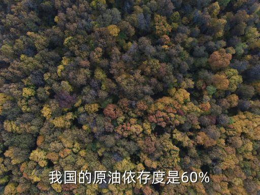 我國的原油依存度是60%