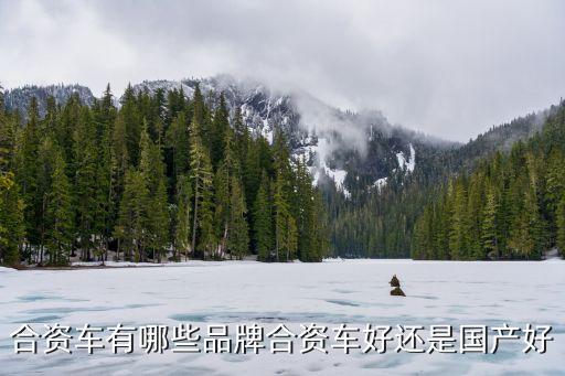 合資車有哪些品牌合資車好還是國產(chǎn)好