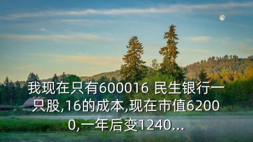 我現(xiàn)在只有600016 民生銀行一只股,16的成本,現(xiàn)在市值62000,一年后變1240...