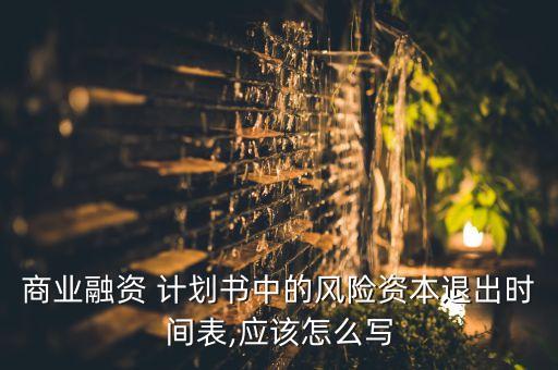 商業(yè)融資 計劃書中的風險資本退出時間表,應該怎么寫