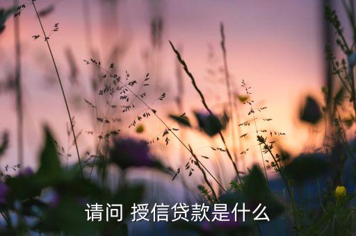 請(qǐng)問 授信貸款是什么