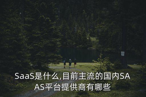 SaaS是什么,目前主流的國內(nèi)SAAS平臺(tái)提供商有哪些