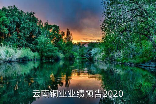 云南銅業(yè)業(yè)績預告2020