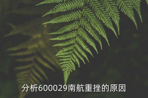 分析600029南航重挫的原因