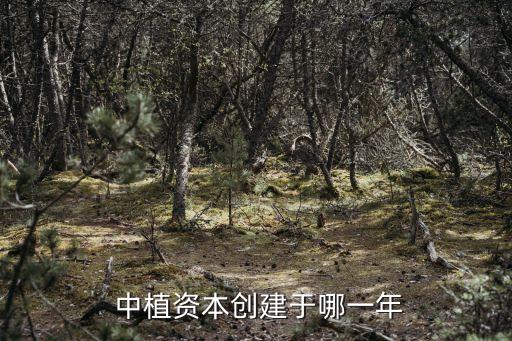 中植集團(tuán)總裁王偉,顏茂昆擔(dān)任中植集團(tuán)總裁