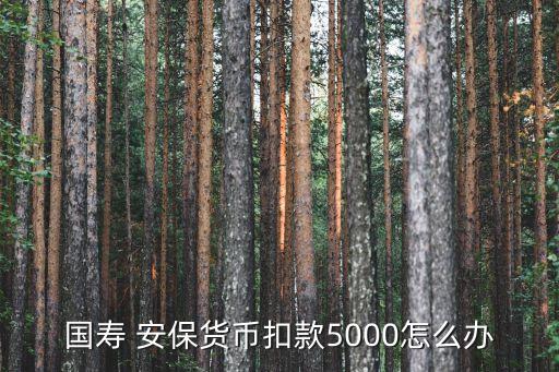 國壽 安保貨幣扣款5000怎么辦