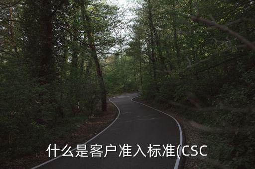 什么是客戶準(zhǔn)入標(biāo)準(zhǔn)(CSC