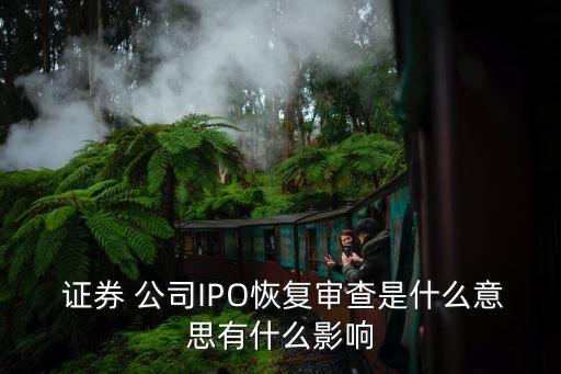  證券 公司IPO恢復(fù)審查是什么意思有什么影響