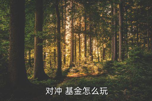  對沖 基金怎么玩