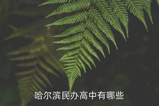 哈爾濱民辦高中有哪些