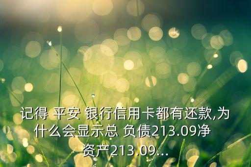 記得 平安 銀行信用卡都有還款,為什么會(huì)顯示總 負(fù)債213.09凈 資產(chǎn)213.09...