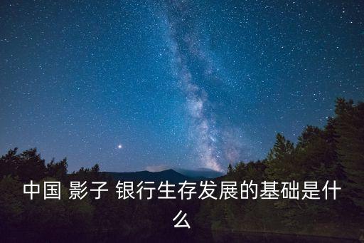 中國(guó) 影子 銀行生存發(fā)展的基礎(chǔ)是什么