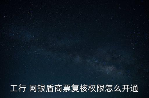 工行 網(wǎng)銀盾商票復(fù)核權(quán)限怎么開通