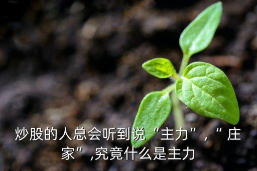 炒股的人總會(huì)聽(tīng)到說(shuō)“主力”,“ 莊家”,究竟什么是主力