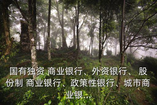 國(guó)有獨(dú)資 商業(yè)銀行、外資銀行、 股份制 商業(yè)銀行、政策性銀行、城市商業(yè)銀...