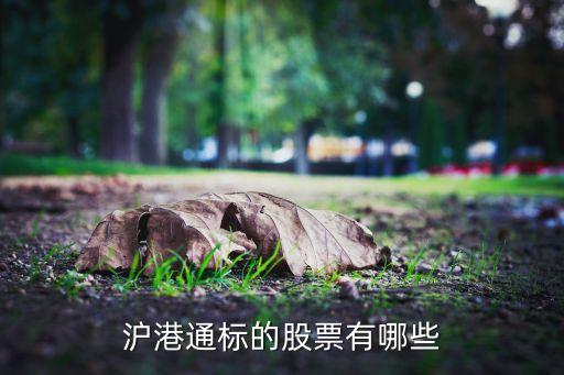 魯銀投資千股千評(píng)