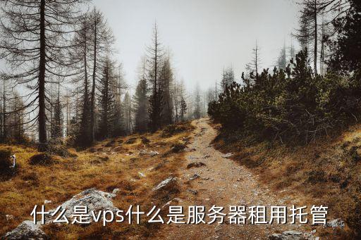 什么是vps什么是服務(wù)器租用托管