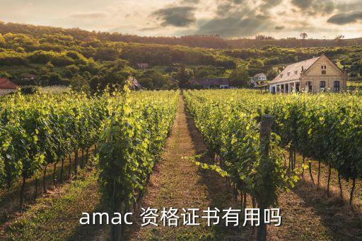 amac 資格證書有用嗎