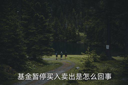  基金暫停買(mǎi)入賣(mài)出是怎么回事