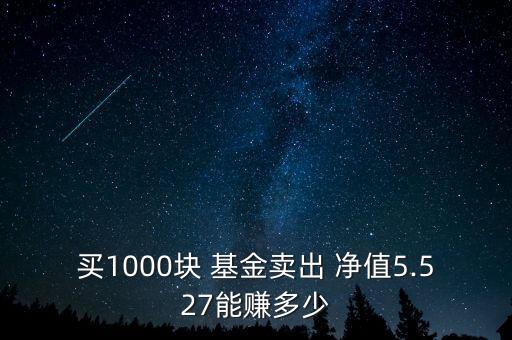 南方改革機(jī)遇基金凈值,南方精選202005基金凈值