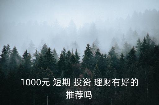 1000元 短期 投資 理財有好的推薦嗎