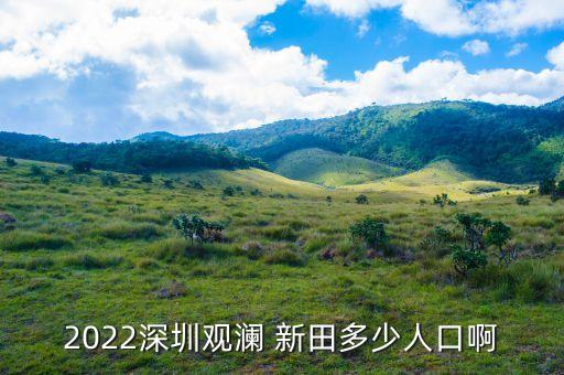 2022深圳觀瀾 新田多少人口啊