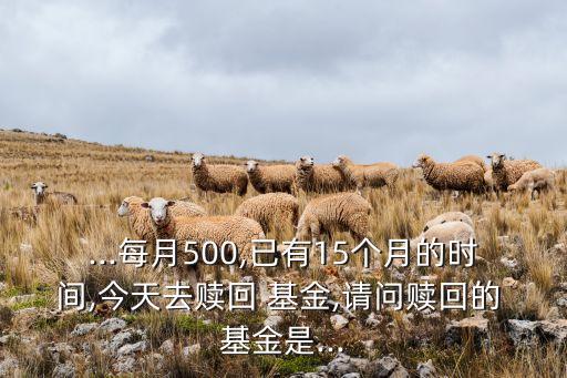 ...每月500,已有15個月的時間,今天去贖回 基金,請問贖回的 基金是...